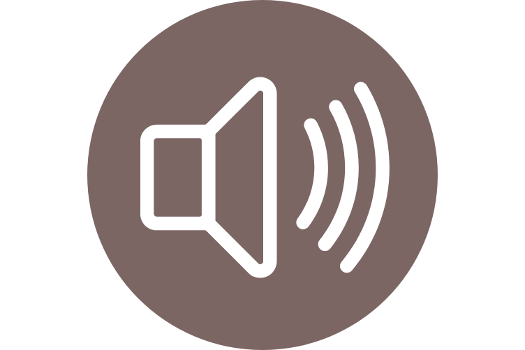 Icon eines Lautsprechers mit Schallwellen, weiß gezeichnet auf braunem Kreis – Symbol für lautes Hören als möglichen Anlass für einen Hörtest.